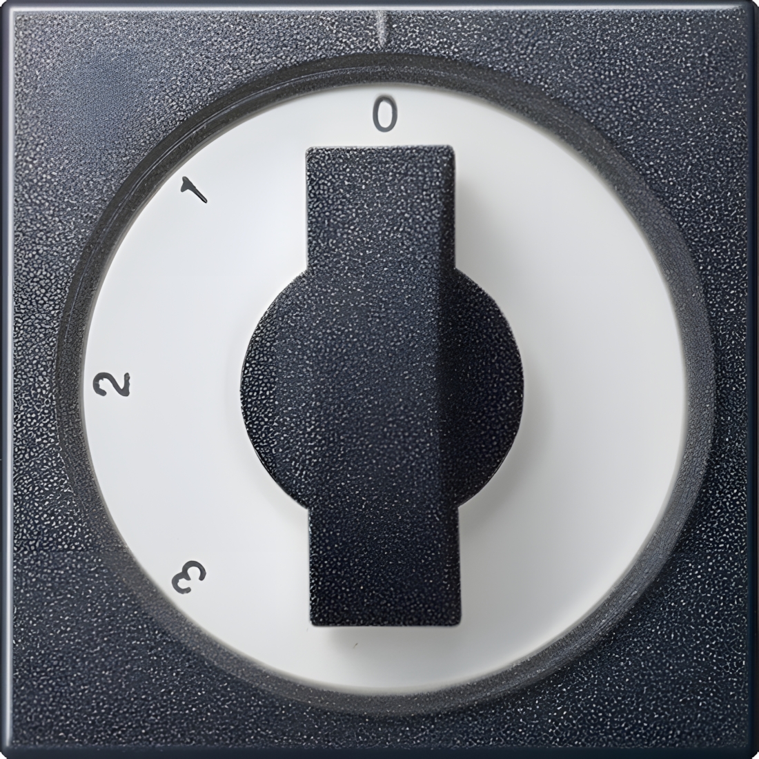 Gira Abdeckung Knebel 066928