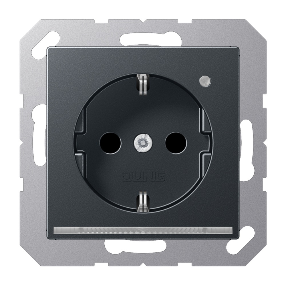 Jung SCHUKO Steckdose A1520-OANMLNW