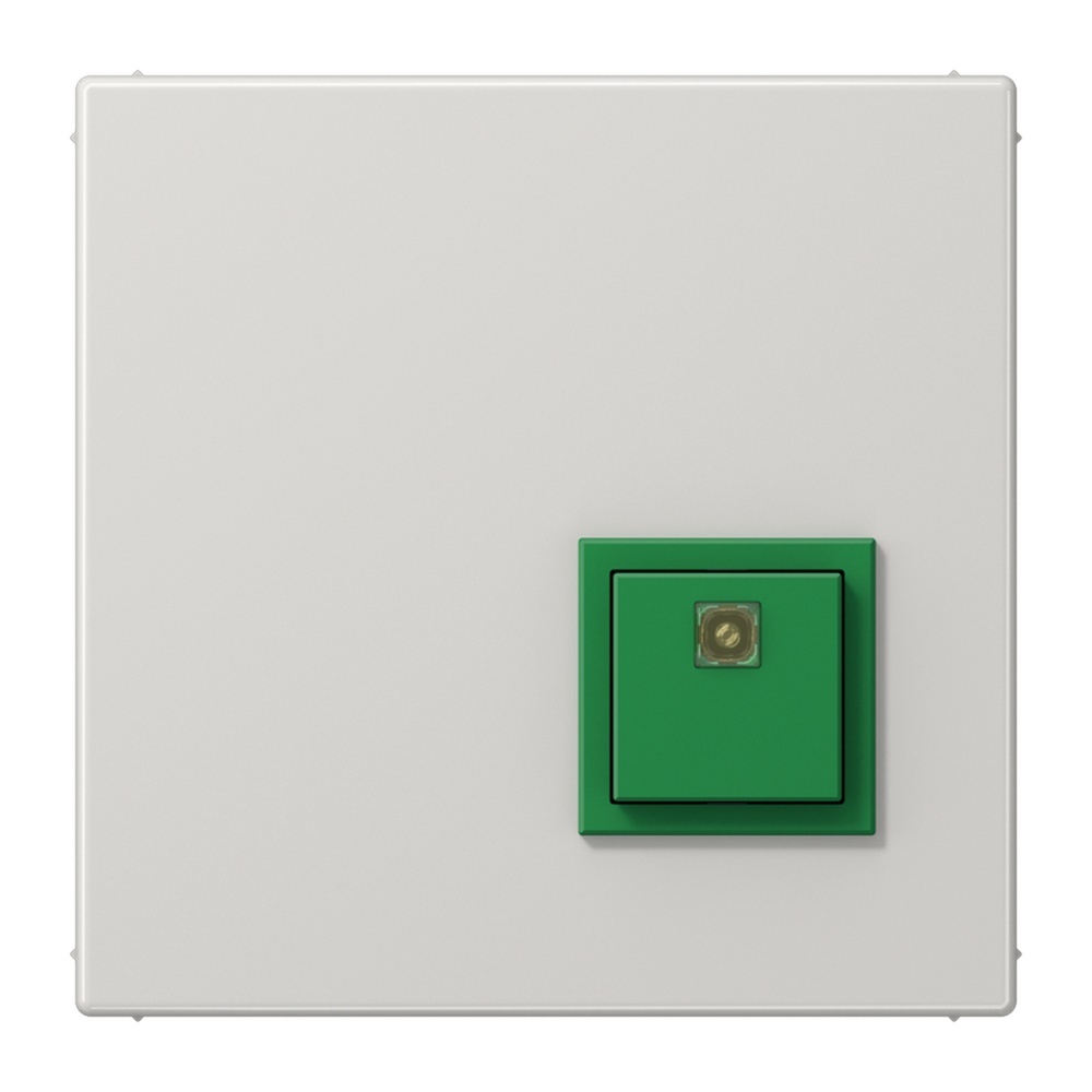 Jung Abstelltaster NRS LS 0834 AT LG