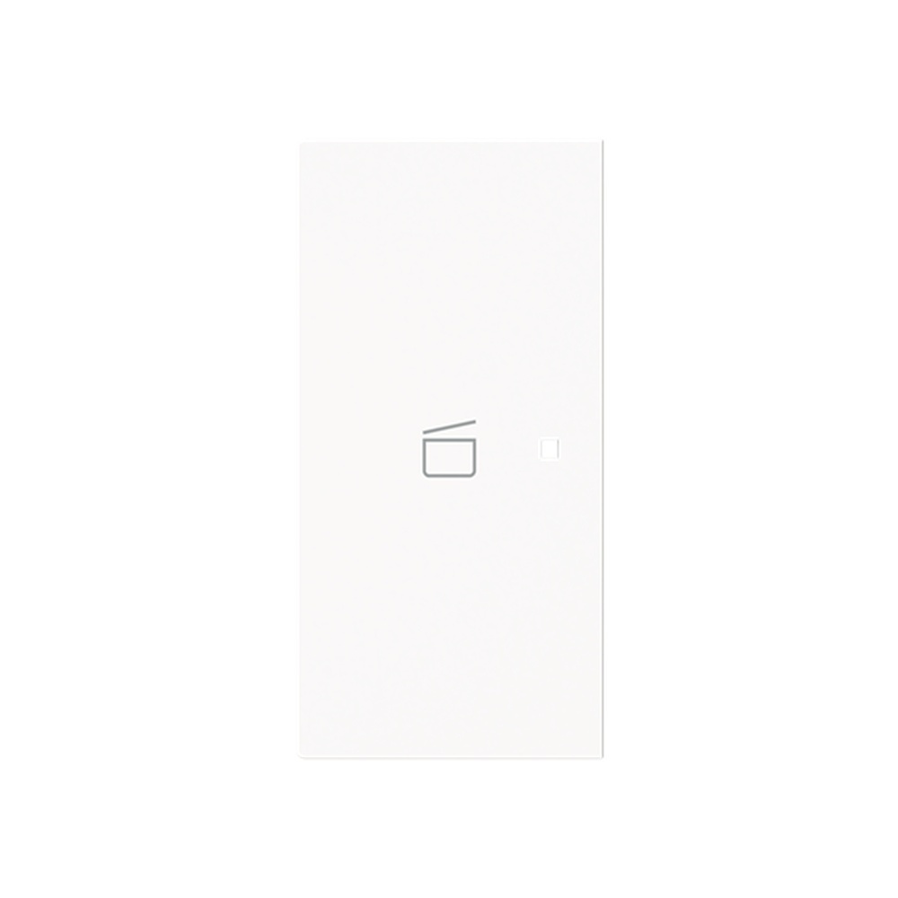 Busch-Jaeger Wippe 6233-21-44G Typ 2CKA006220A0968