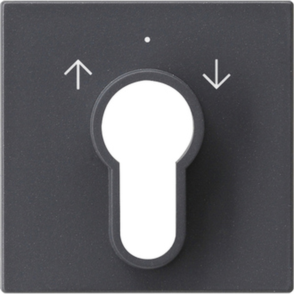 Gira Abdeckung Schlüsselschalter 066428