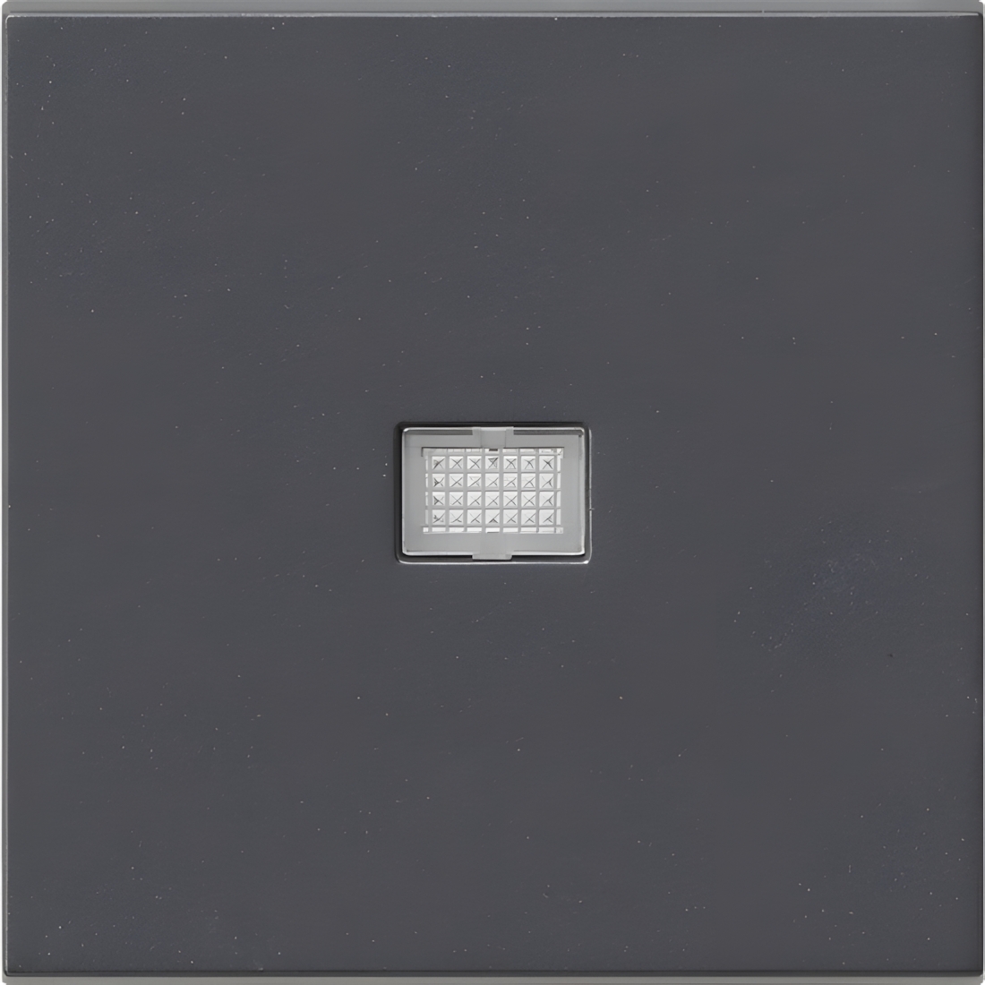 Gira Wippe Kontroll-Fenster 029828