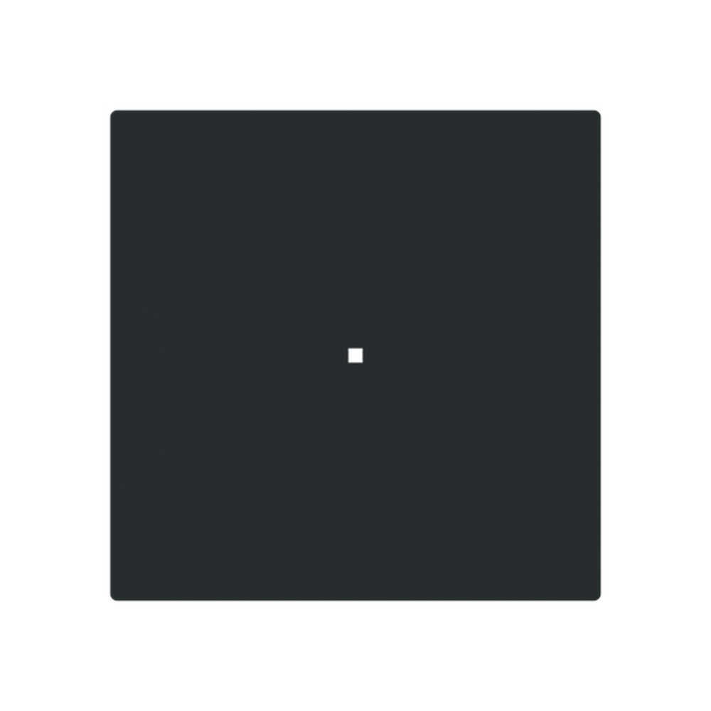 Busch-Jaeger Wippe 6230-10-45M Typ 2CKA006220A0927