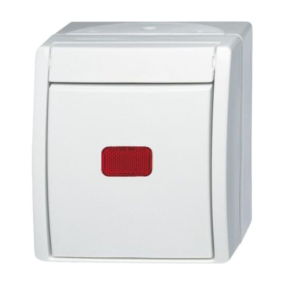 Busch-Jaeger Wippkontrollschalter 2601/6 SKW-54 Nr. 2CKA001085A1622