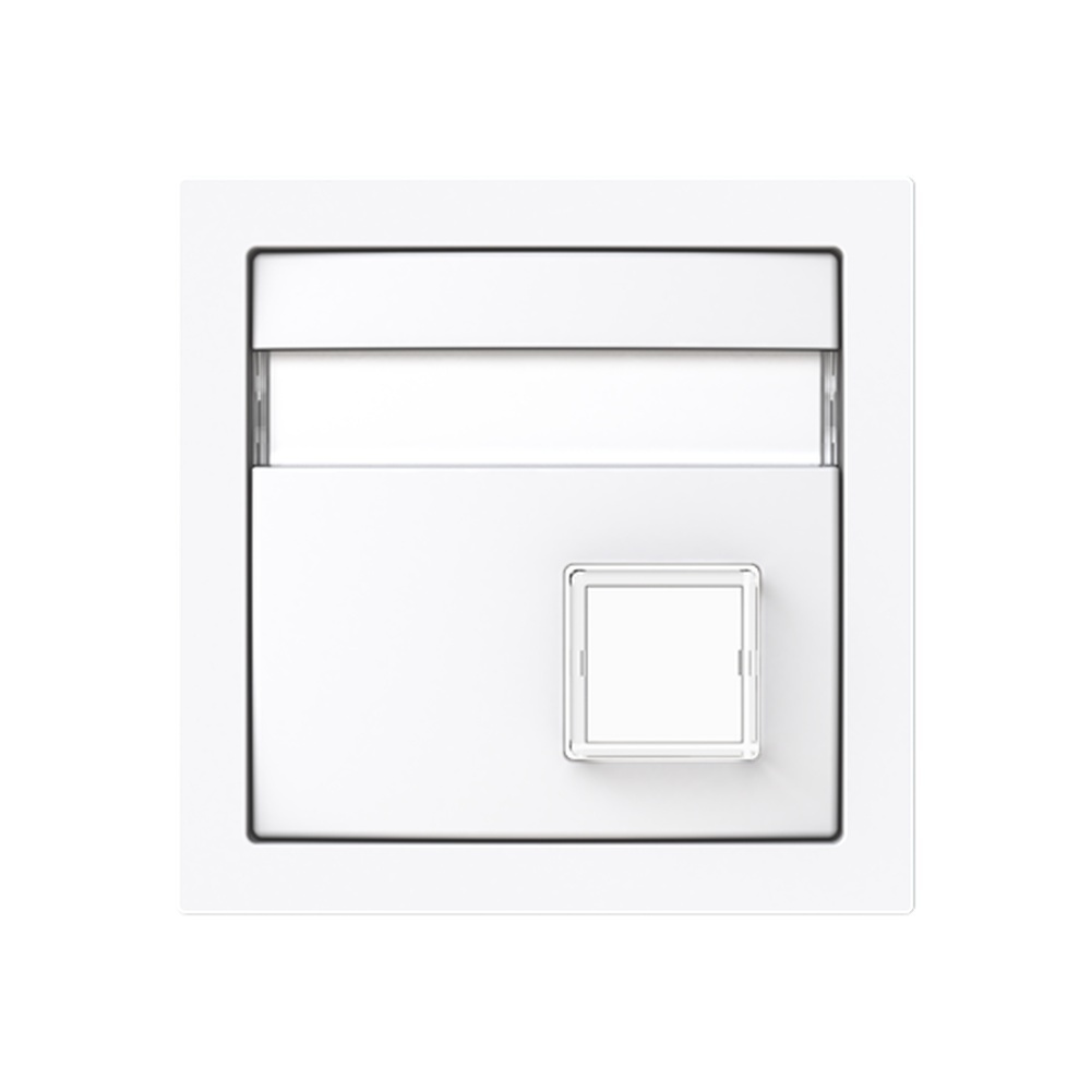 Busch-Jäger Zentalscheibe 1571 CN-44G Nr. 2CKA001582A0445