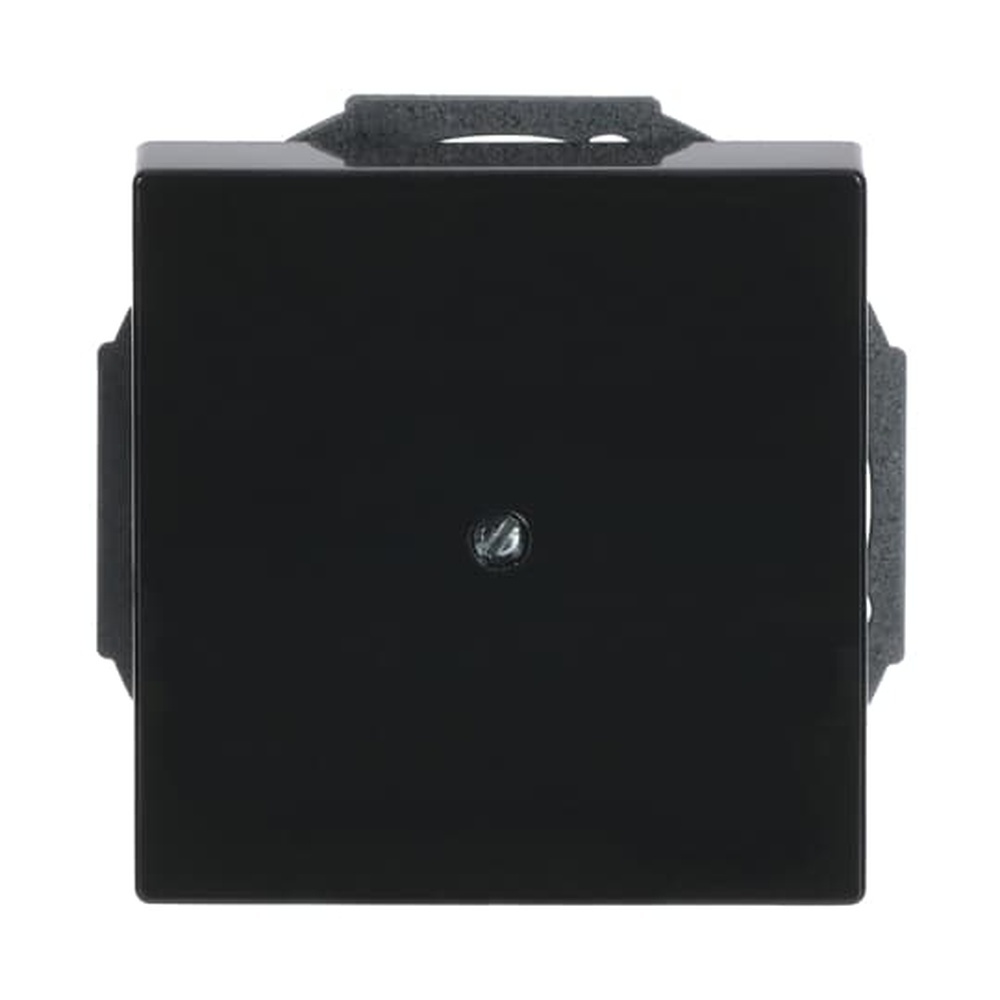 Busch-Jaeger Zentralscheibe 1749-81 Nr. 2CKA001710A3614