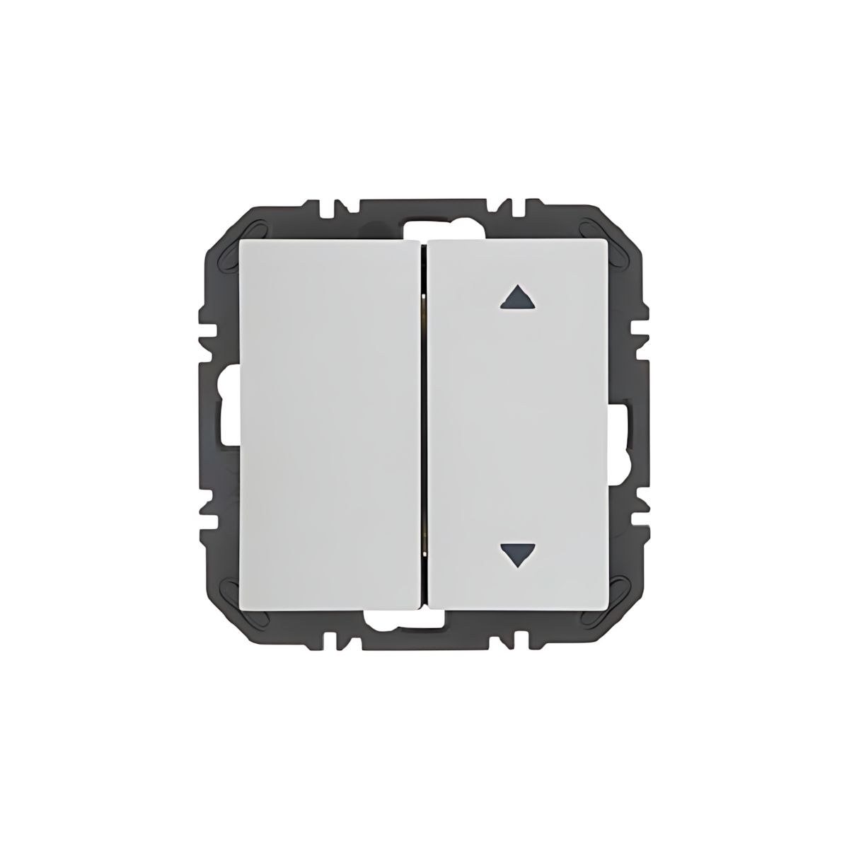 Berker EnO Wippe 24128389