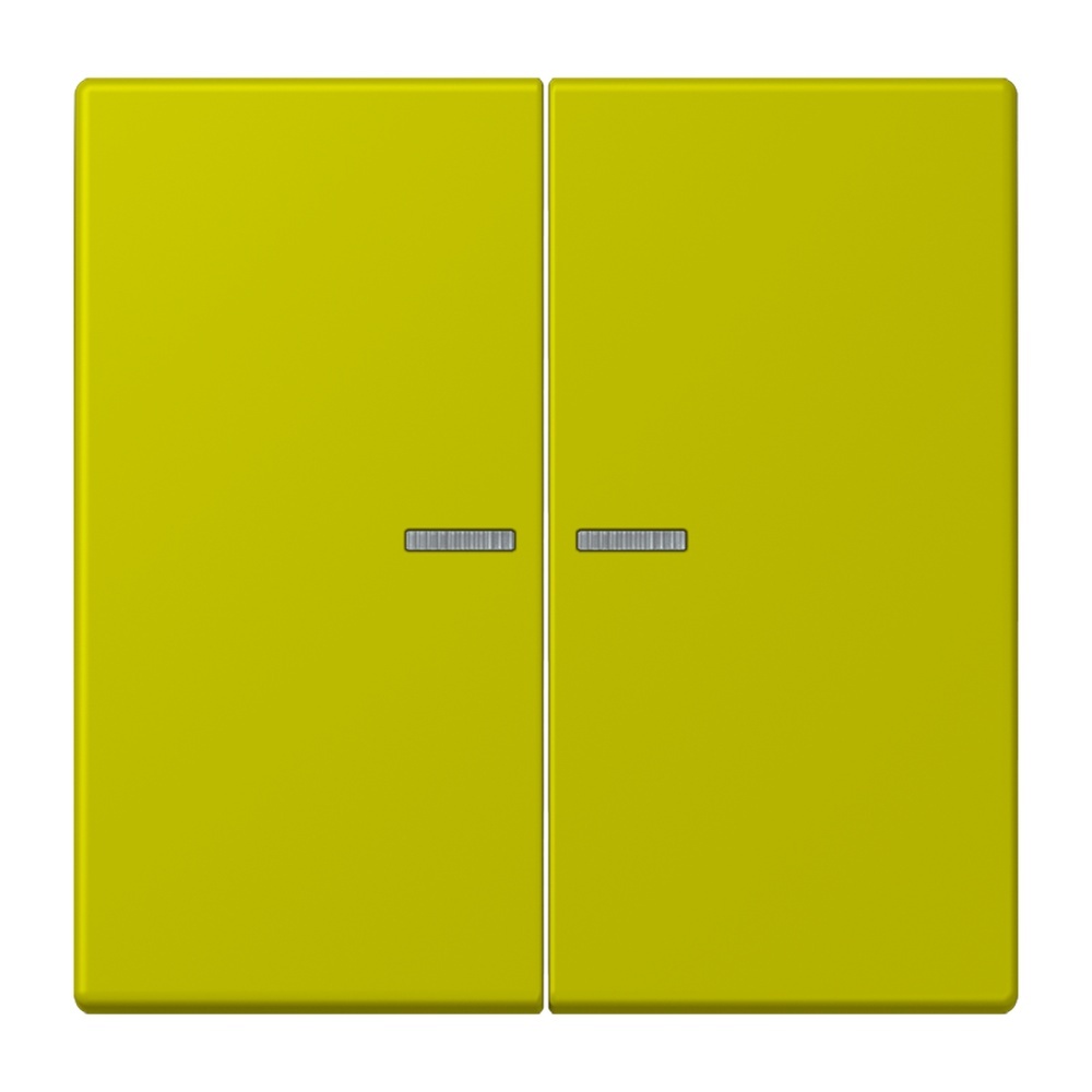 Jung Wippe mit Lichtleiter für Taster 2fach LC102KO5249