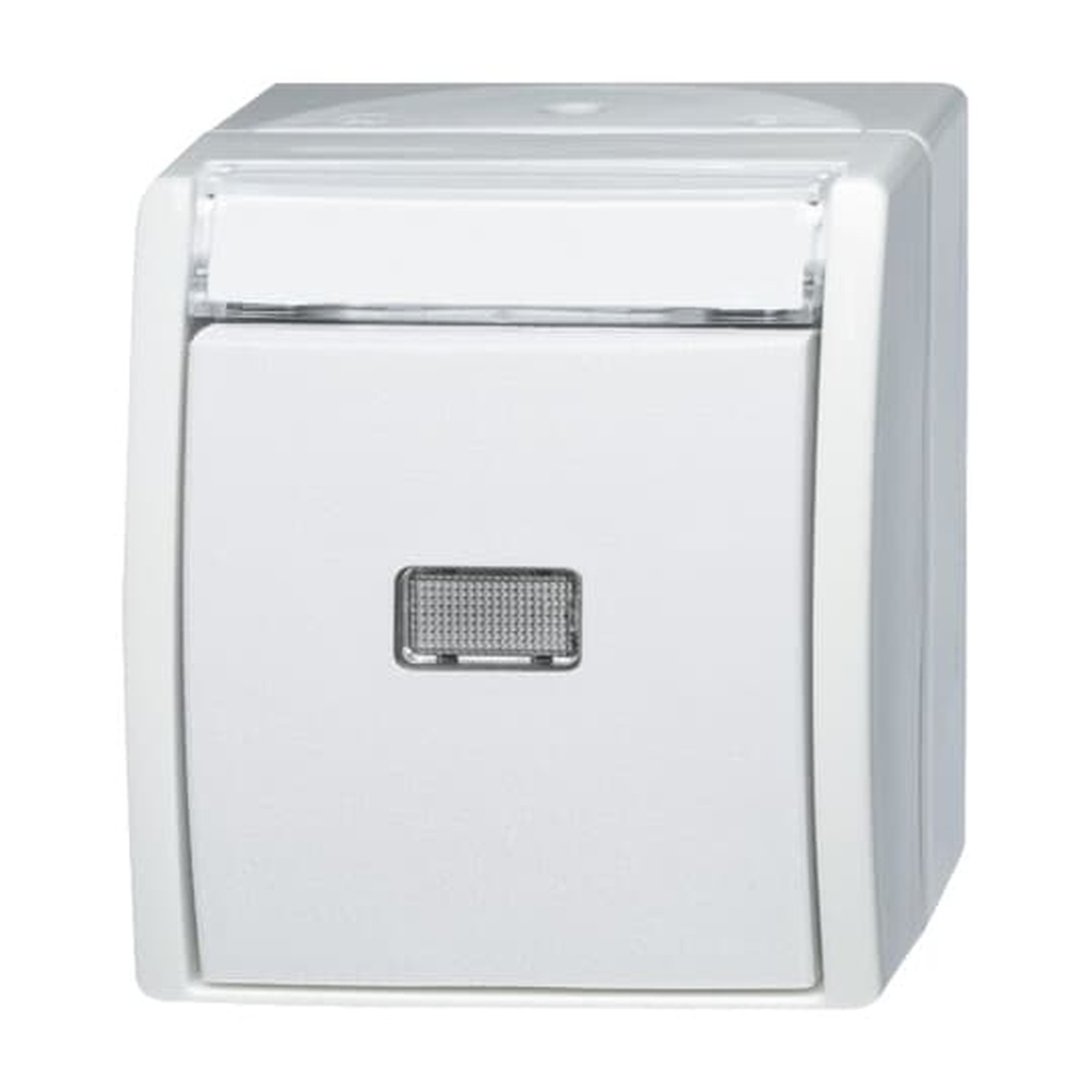 Busch-Jaeger Wipptaster 2621 WN-54-201 Nr. 2CKA001484A0378