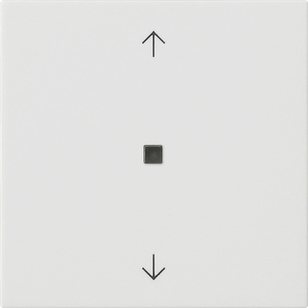 Gira Bedienaufsatz BT 538227