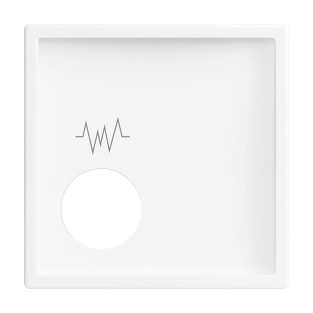 Busch-Jaeger Zentralscheibe 2548-020 F-84 Nr. 2CKA001724A4385