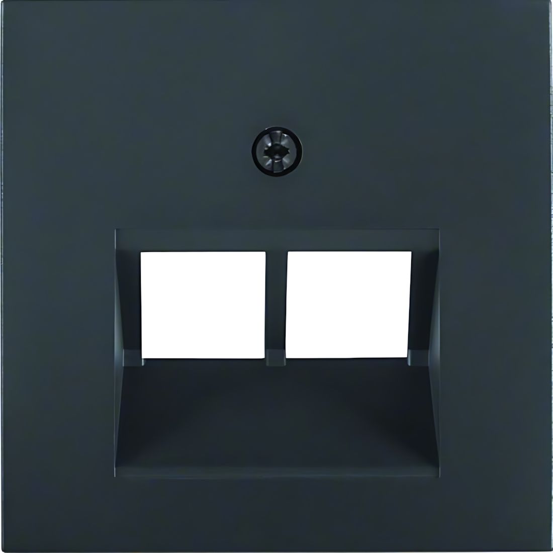 Berker Zentralstück 14091606