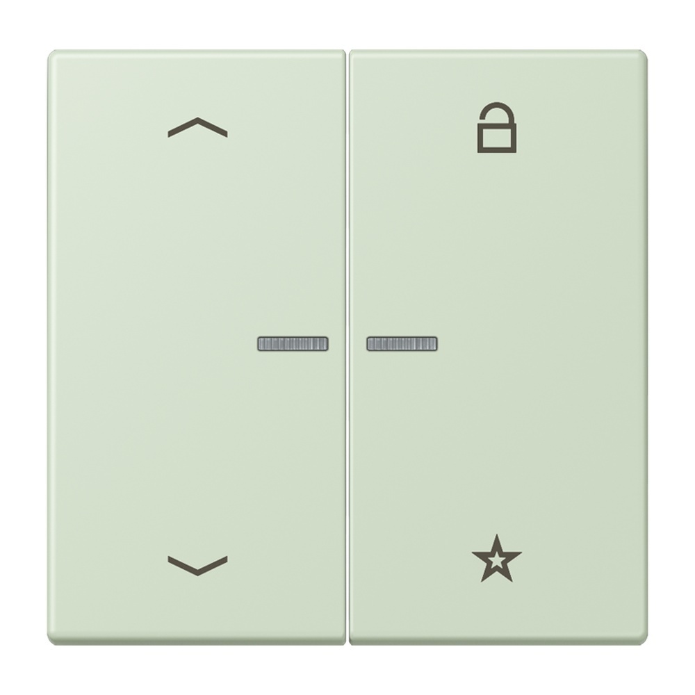 Jung Taster FMLC1701P218