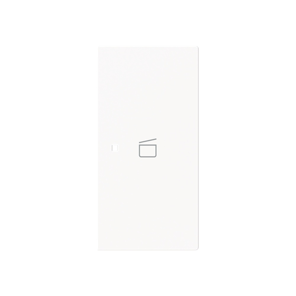 Busch-Jaeger Wippe 6233-22-44M Typ 2CKA006220A0973