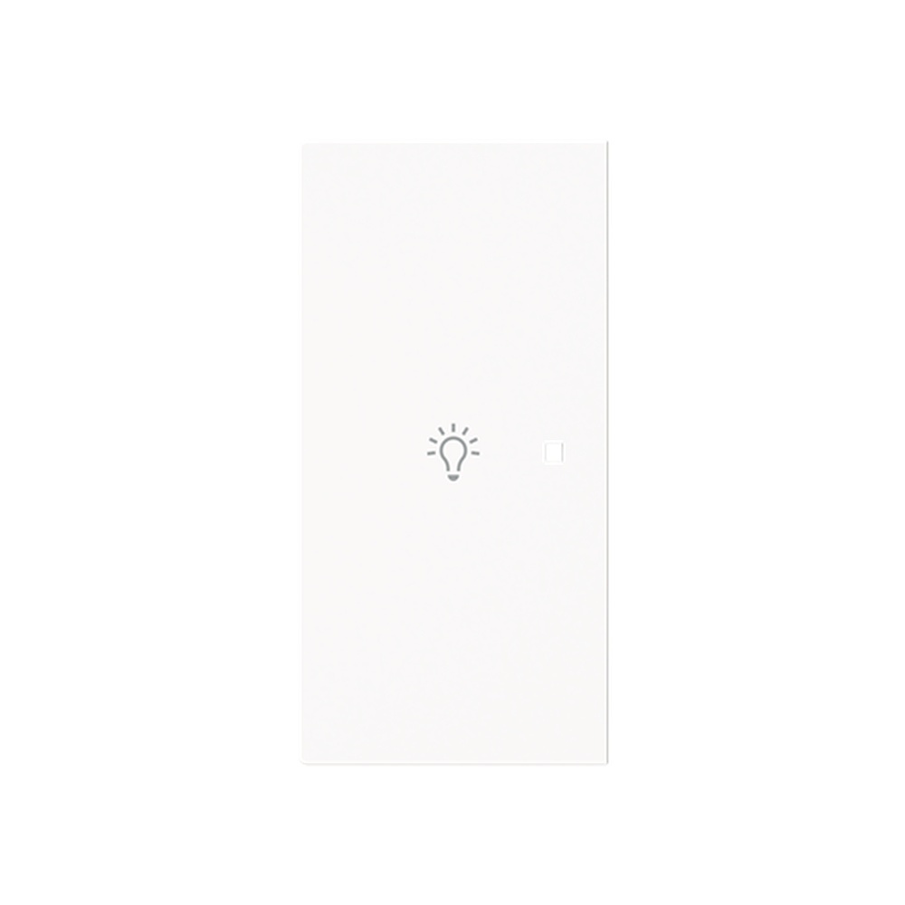 Busch-Jaeger Wippe 6231-21-44M Typ 2CKA006220A0949