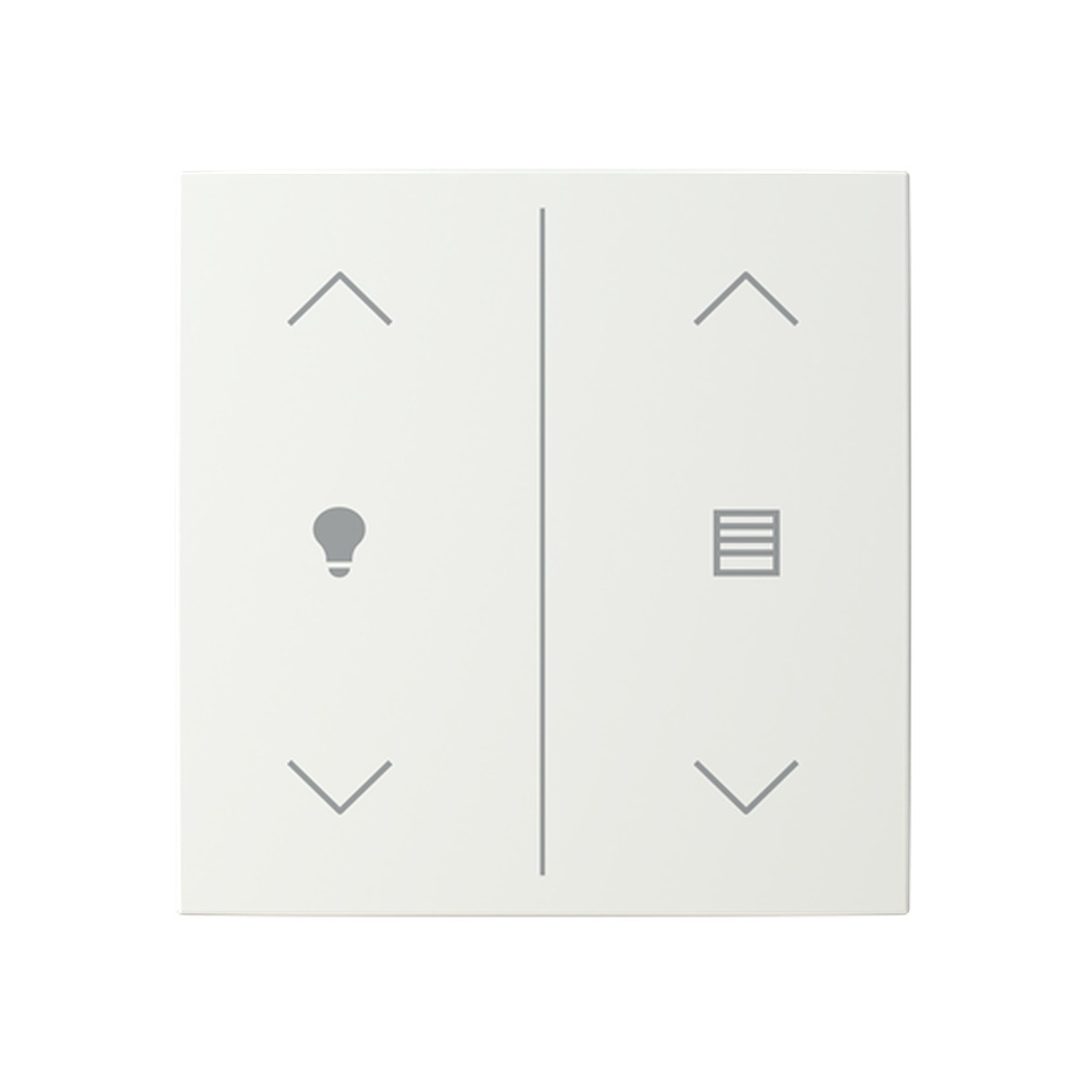 Busch-Jaeger Abdeckung LFDW/A.2.55.11-914 Typ 2CKA006199A0341