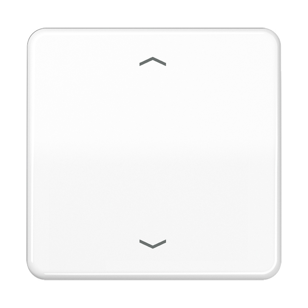 Jung Steuertaste CD1700PWW