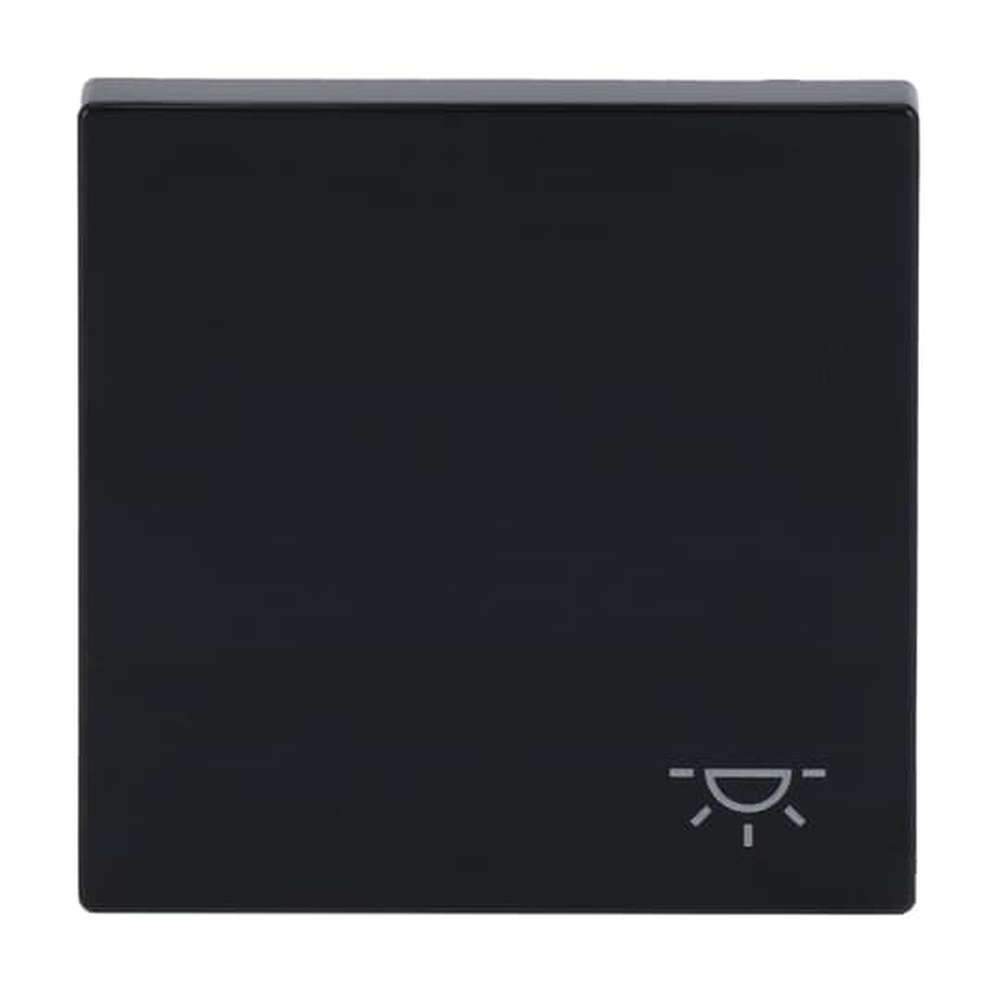 Busch-Jaeger Wippe 2520 LI-81 Nr. 2CKA001751A3186