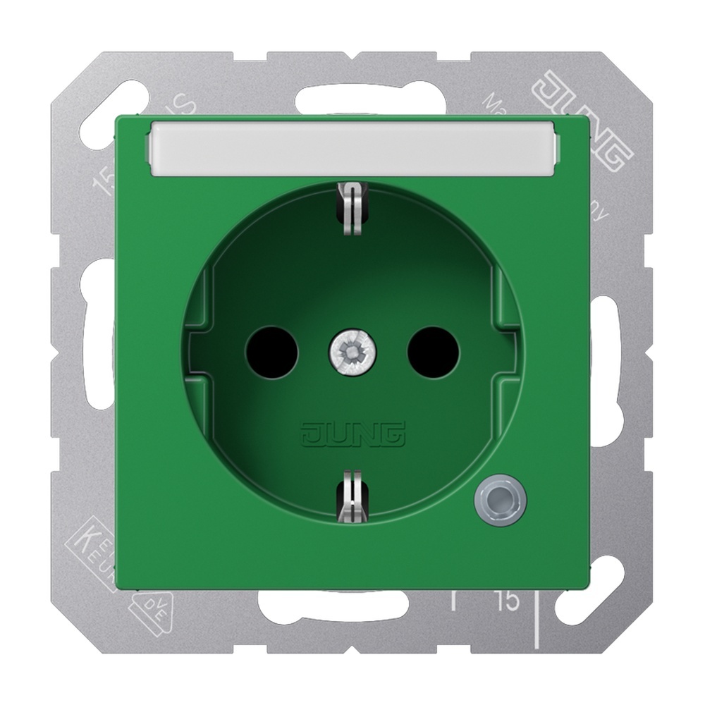 Jung Schutzkontakt Steckdose A 1520 BFNAKO GN