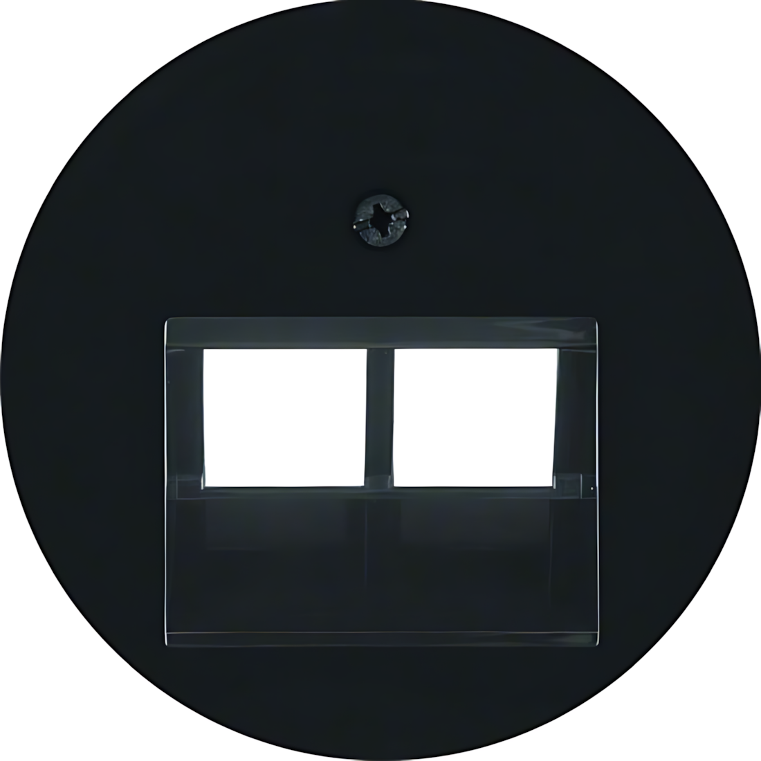 Berker Zentralstück 14092045