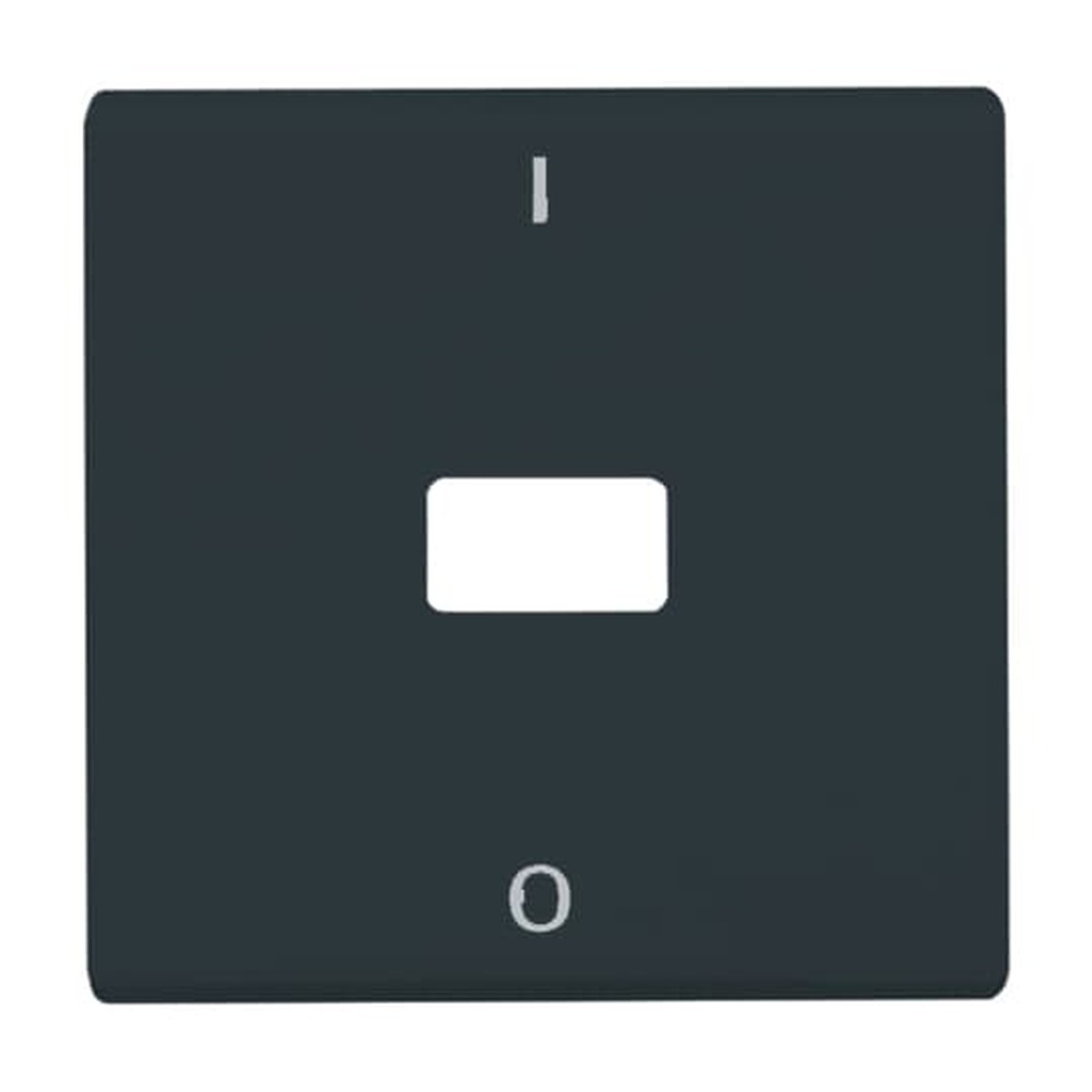 Busch-Jaeger Wippe 2108-35 Nr. 2CKA001731A1692