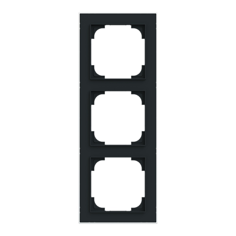 Busch-Jäger Rahmen 1723-456M Nr. 2CKA001754A4916