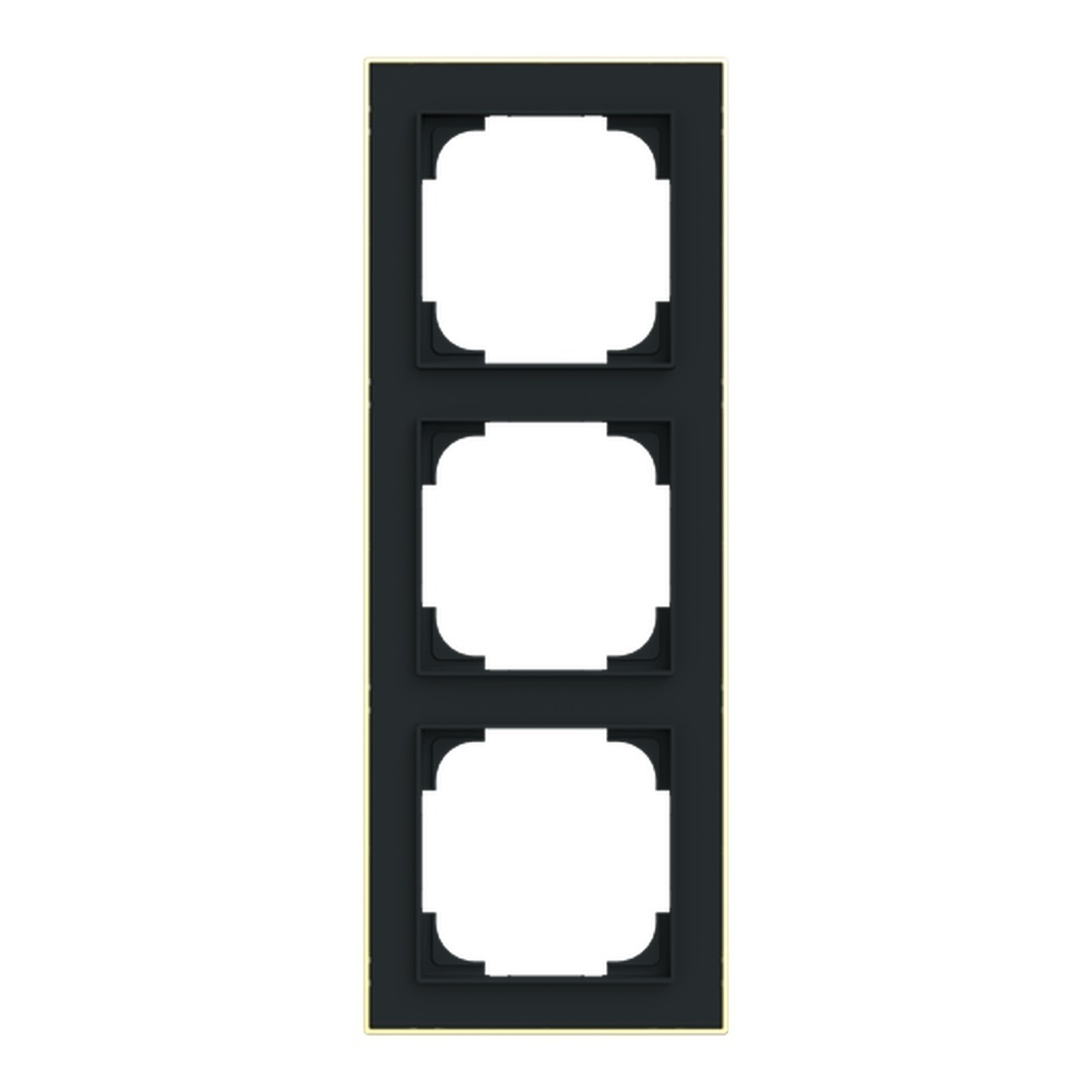 Busch-Jäger Rahmen 1723-453M Nr. 2CKA001754A4915