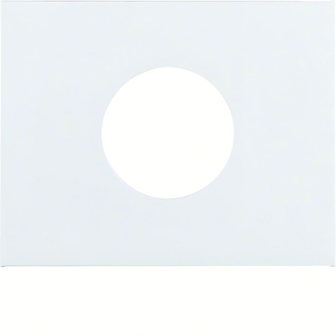 Berker Zentralstück 11657009