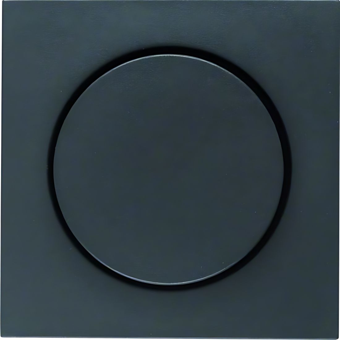 Berker Zentralstück 11371606