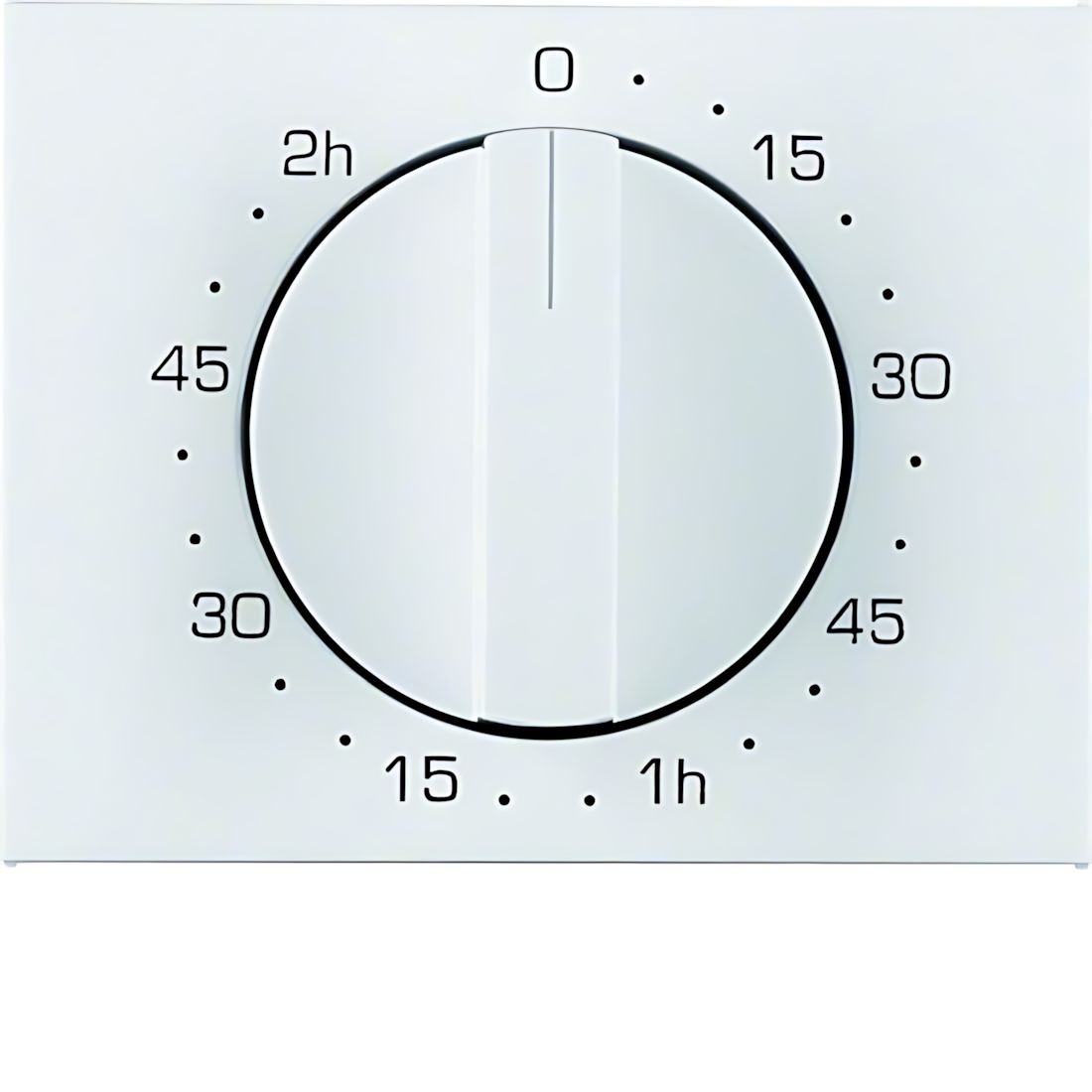 Berker Zentralstück 16357109