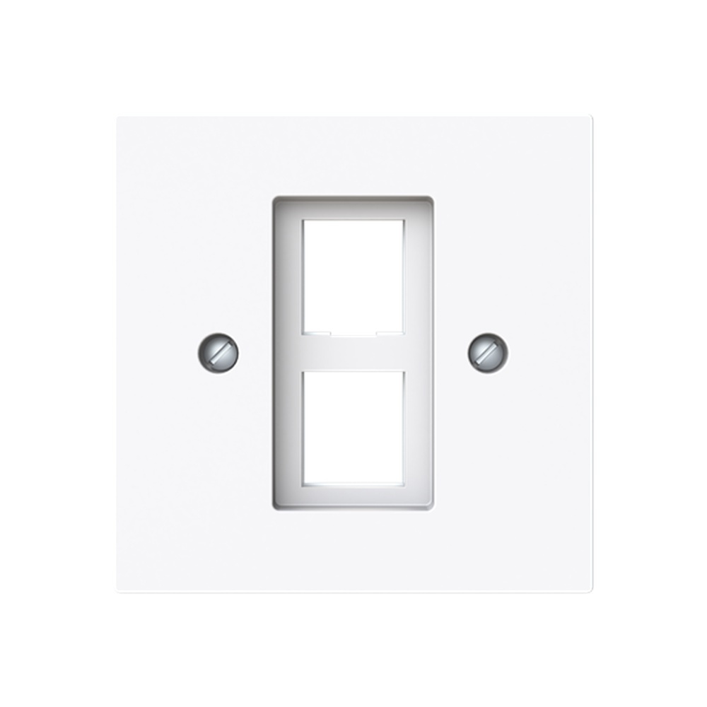 Busch-Jäger Zentralscheibe 2561-02-44G Nr. 2CKA001753A9926