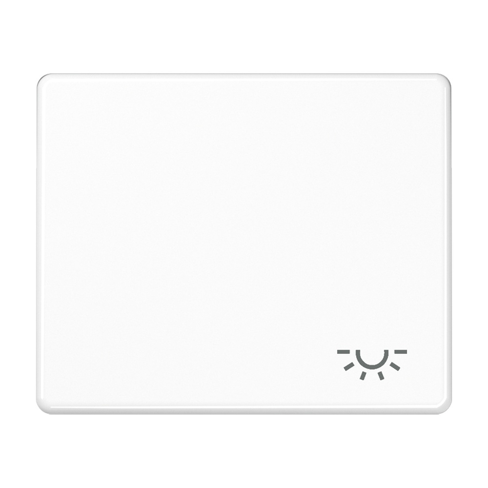 Jung Wippe SL 590 L WW