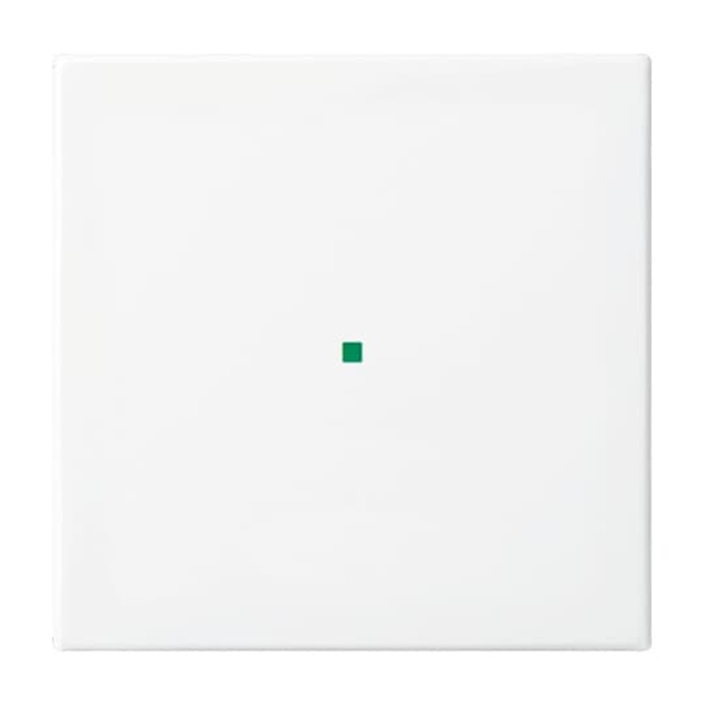 Busch-Jaeger Wippe 6230-10-914 Nr. 2CKA006220A0355