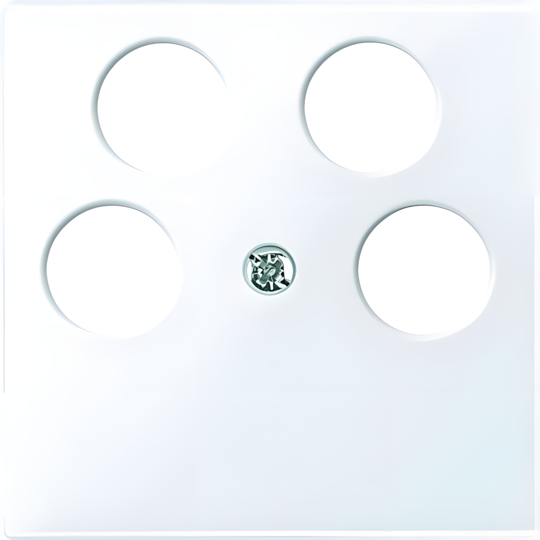 Merten Zentralplatte 296525