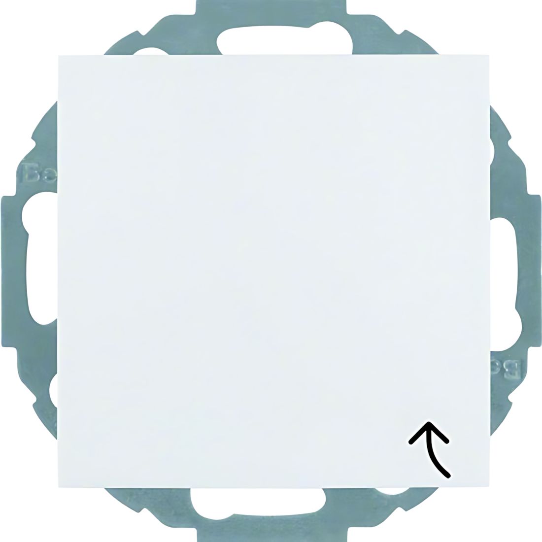 Berker Steckdose 47448989