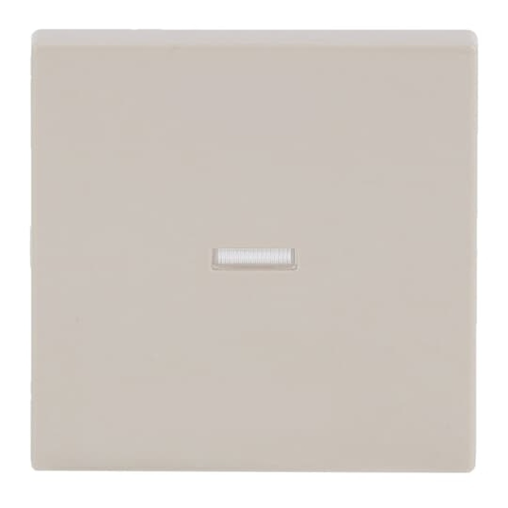 Busch-Jaeger Wippe 1789 N-82 Nr. 2CKA001751A3148