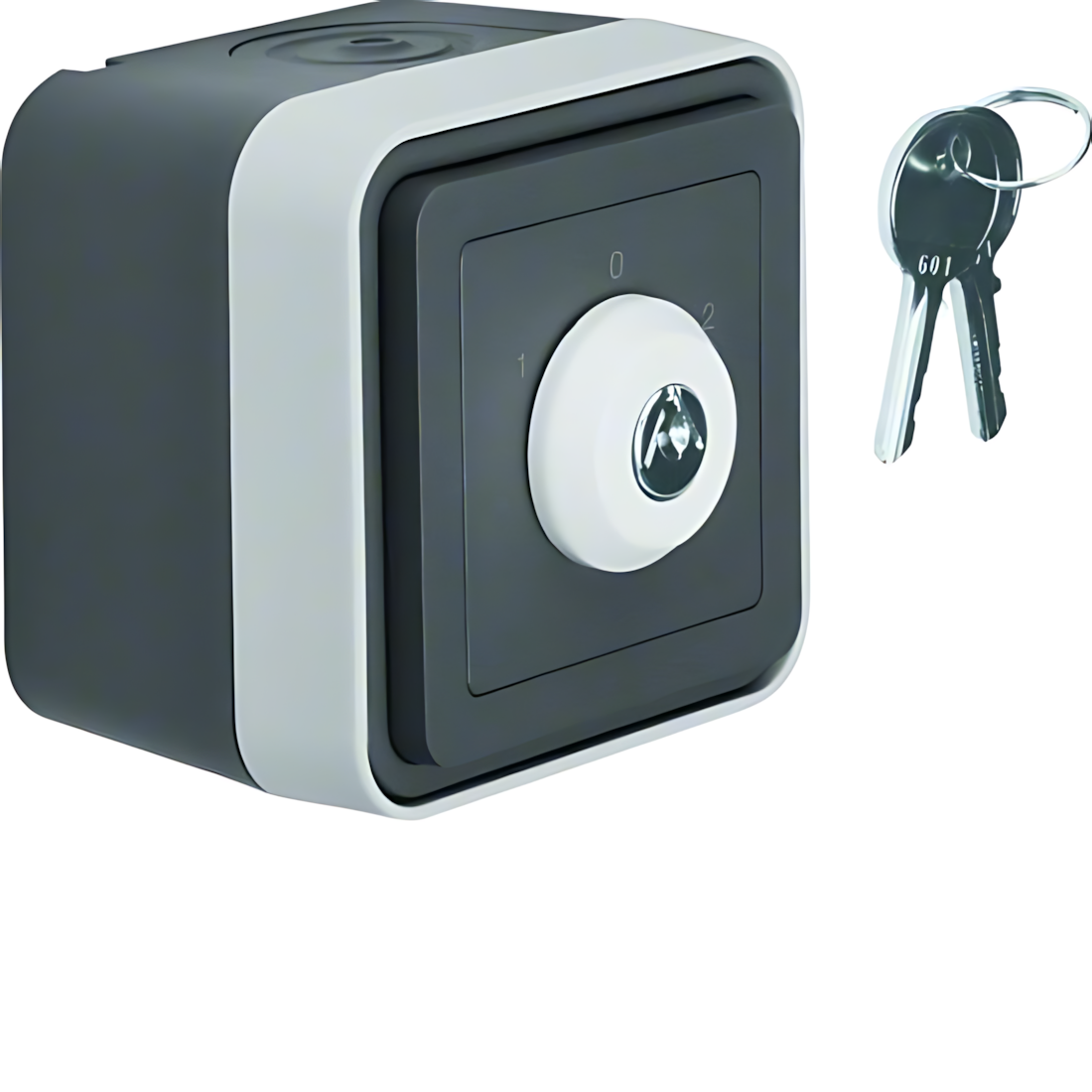 Berker Jalousie Schlüsselschalter 32723515