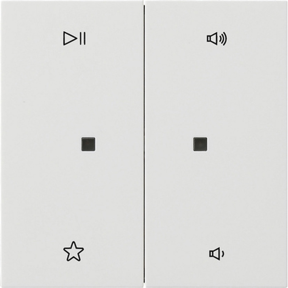 Gira Wippe 2fach 5384112