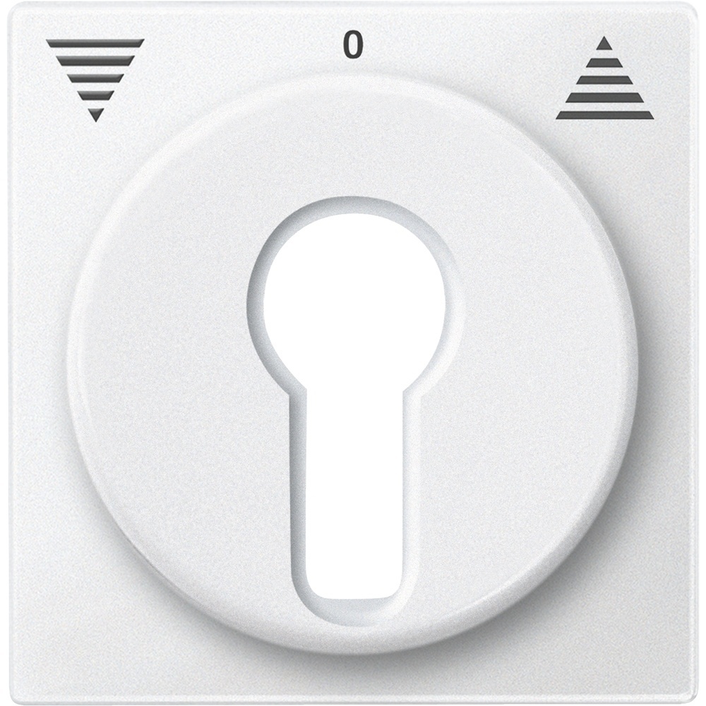 Merten Zentralplatte 319319