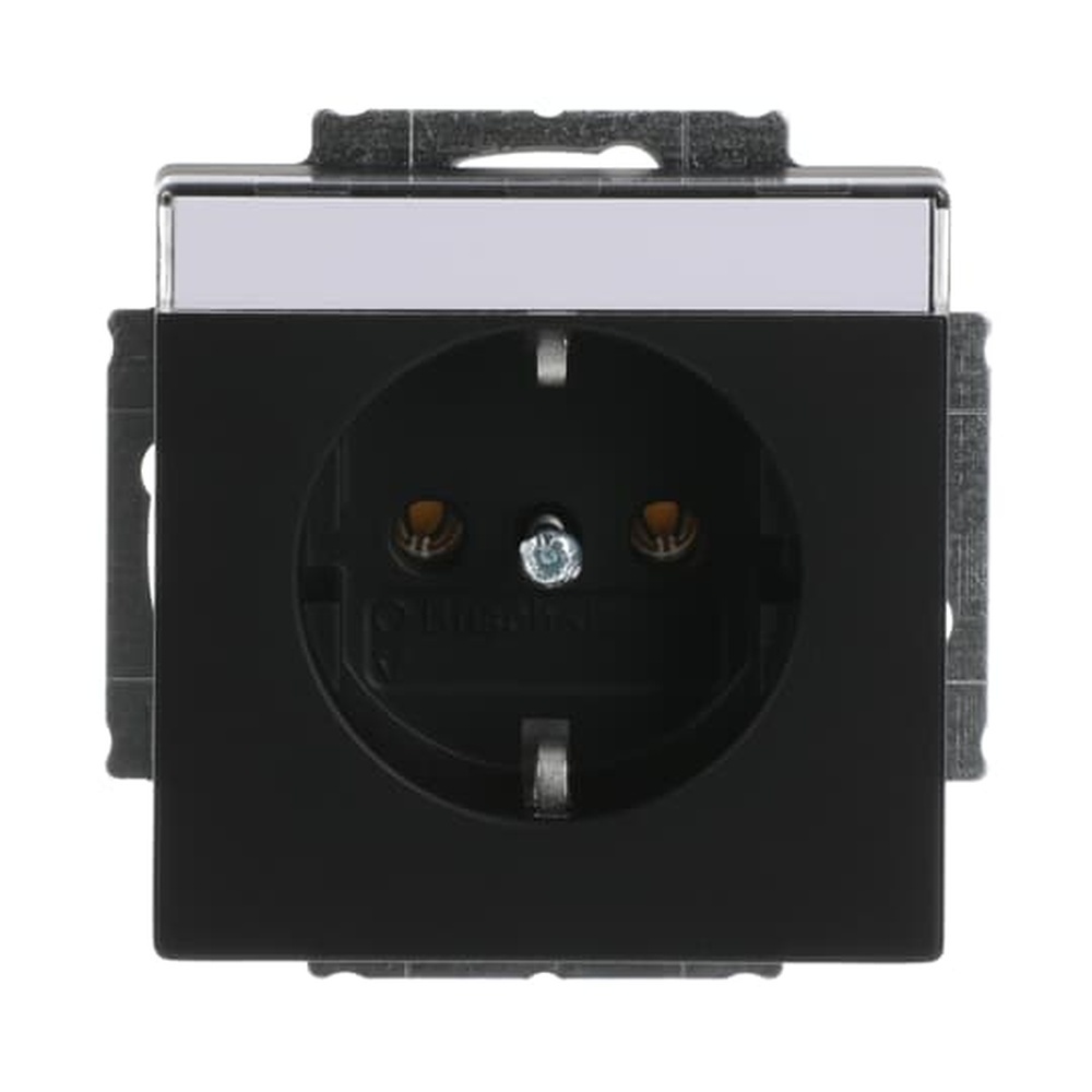 Busch-Jaeger SCHUKO Steckdosen Einsatz 20 EUN-885 Nr. 2CKA002011A3884