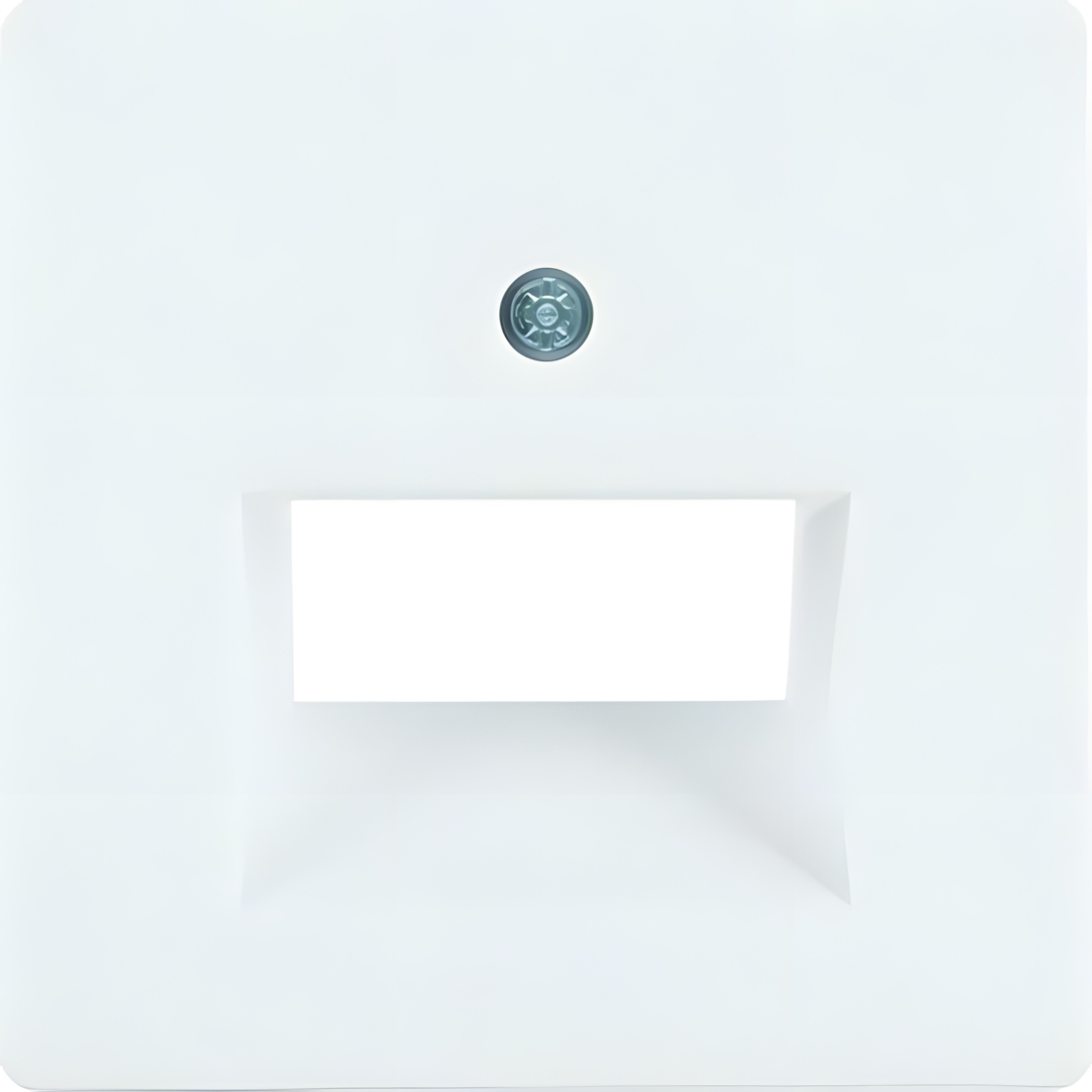 Berker Zentralstück 14096089