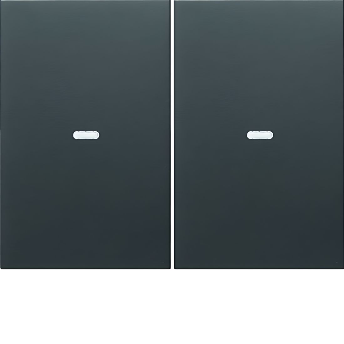 Berker Wippe 80960375