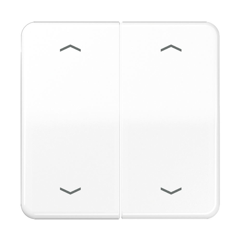 Jung Serienwippe CD102PWW