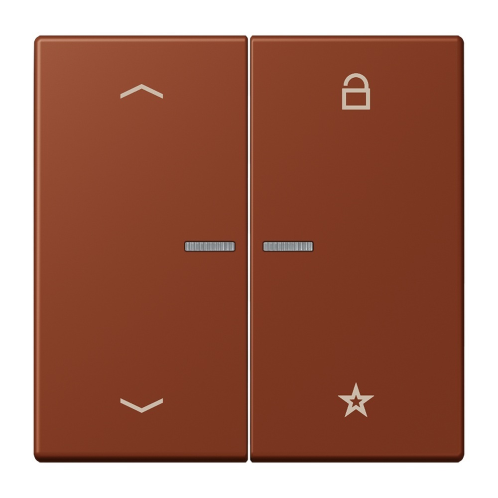 Jung Taster FMLC1701P247