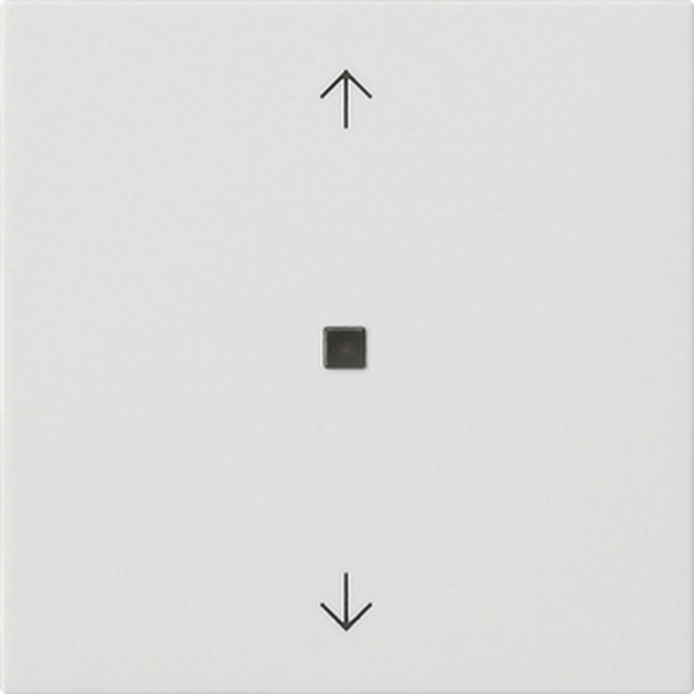 Gira Wippe 1fach 538827