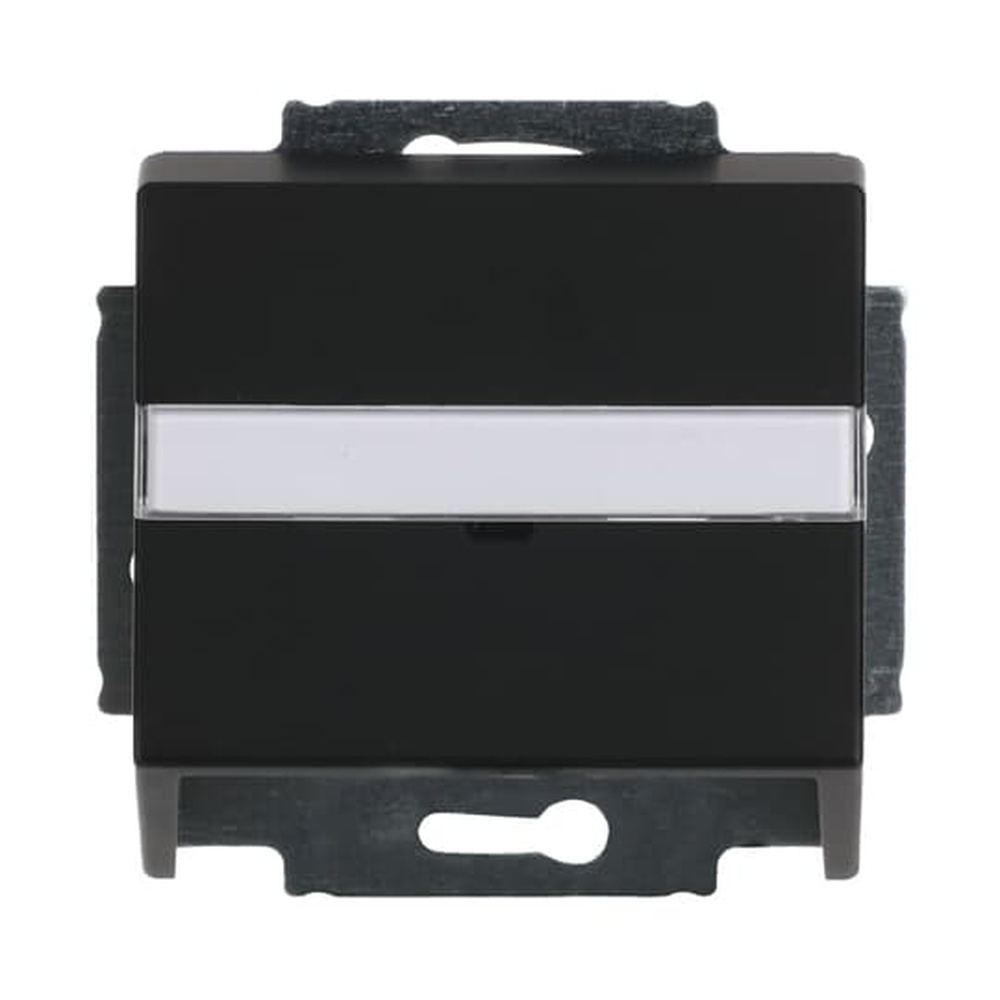 Busch-Jaeger Zentralscheibe 1758-885 Nr. 2CKA001724A4299