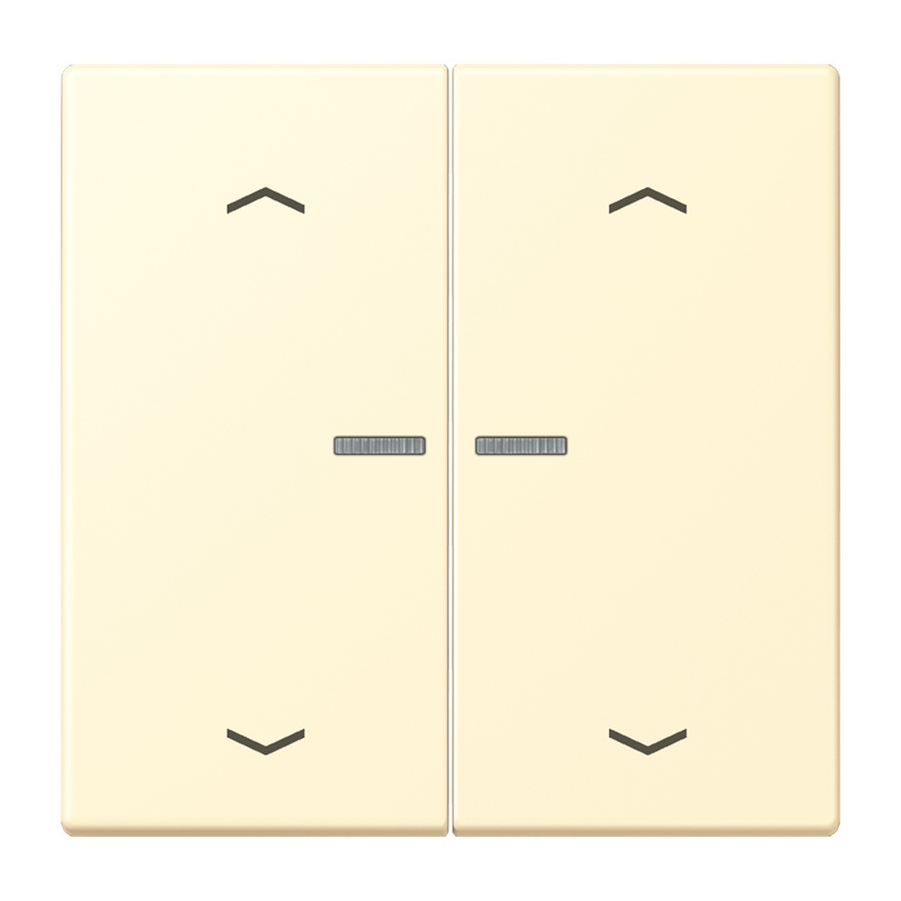 Jung Wippe mit Lichtleiter LC102KO5P201