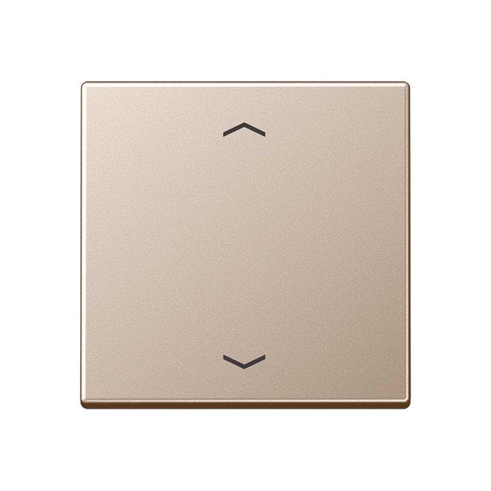 Jung Steuertaste A1700PCH