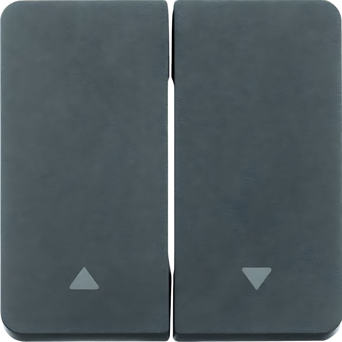 Berker Wippe 30753535