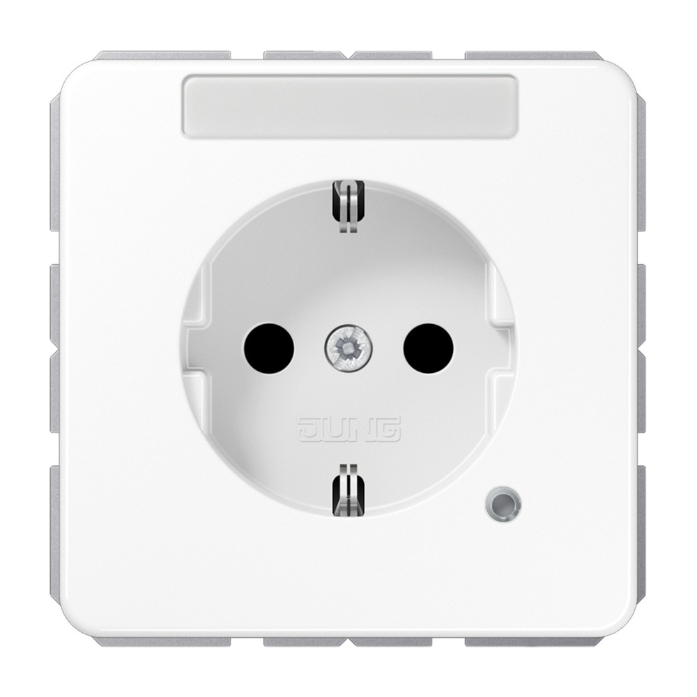 Jung Schutzkontakt Steckdose CD 1520 BFNAKO WW